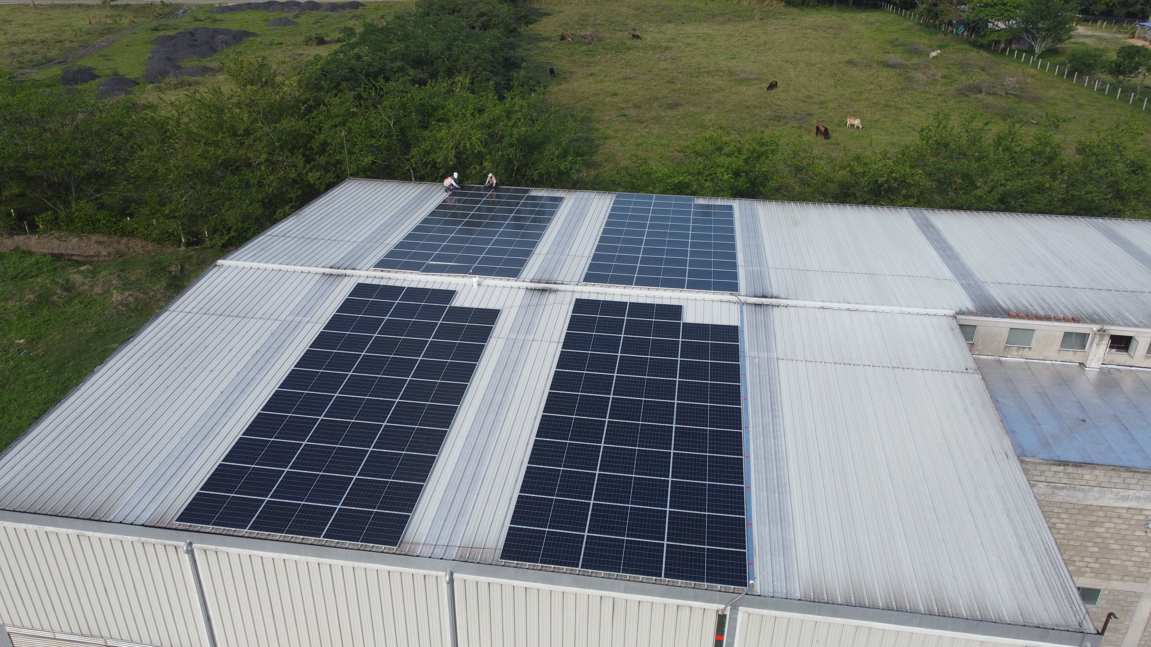 Proyectos Enelico Energía Solar Ibague, Colombia