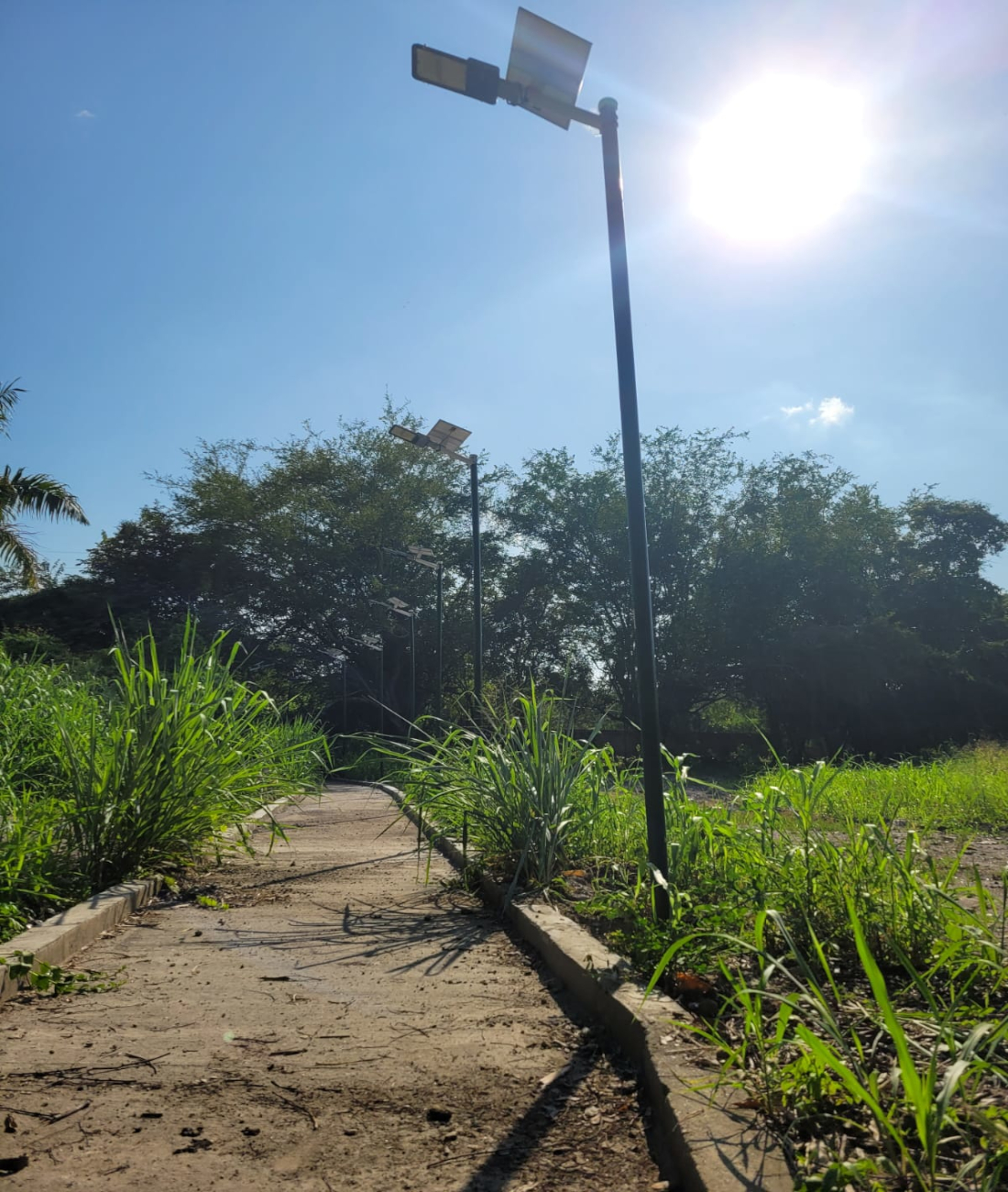 Proyectos Enelico Energía Solar Ibague, Colombia