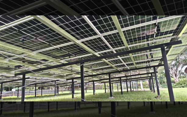 Proyectos Enelico Energía Solar Ibague, Colombia