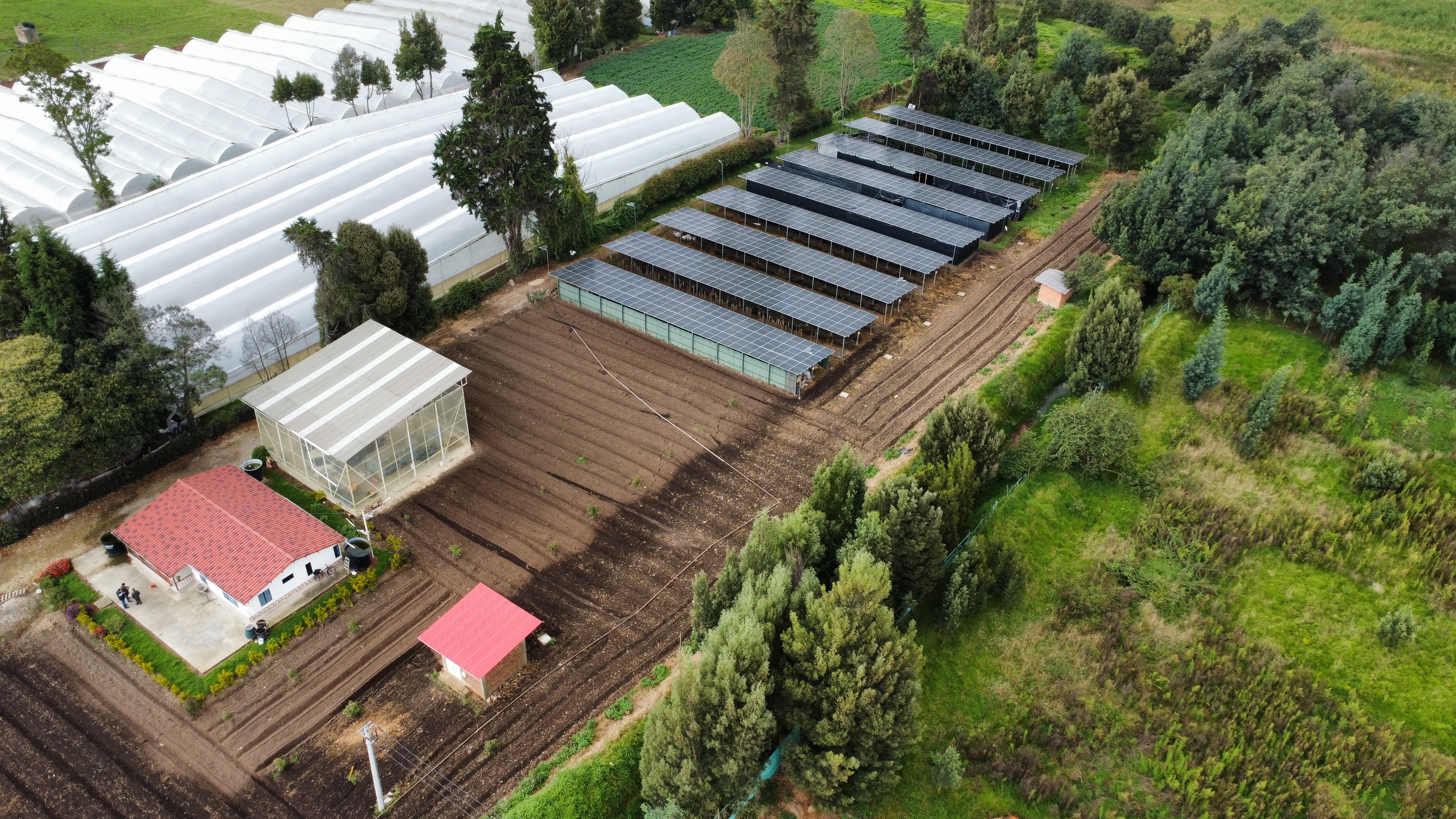 Proyectos Enelico Energía Solar Ibague, Colombia