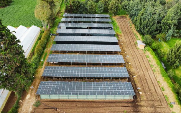 Proyectos Enelico Energía Solar Ibague, Colombia