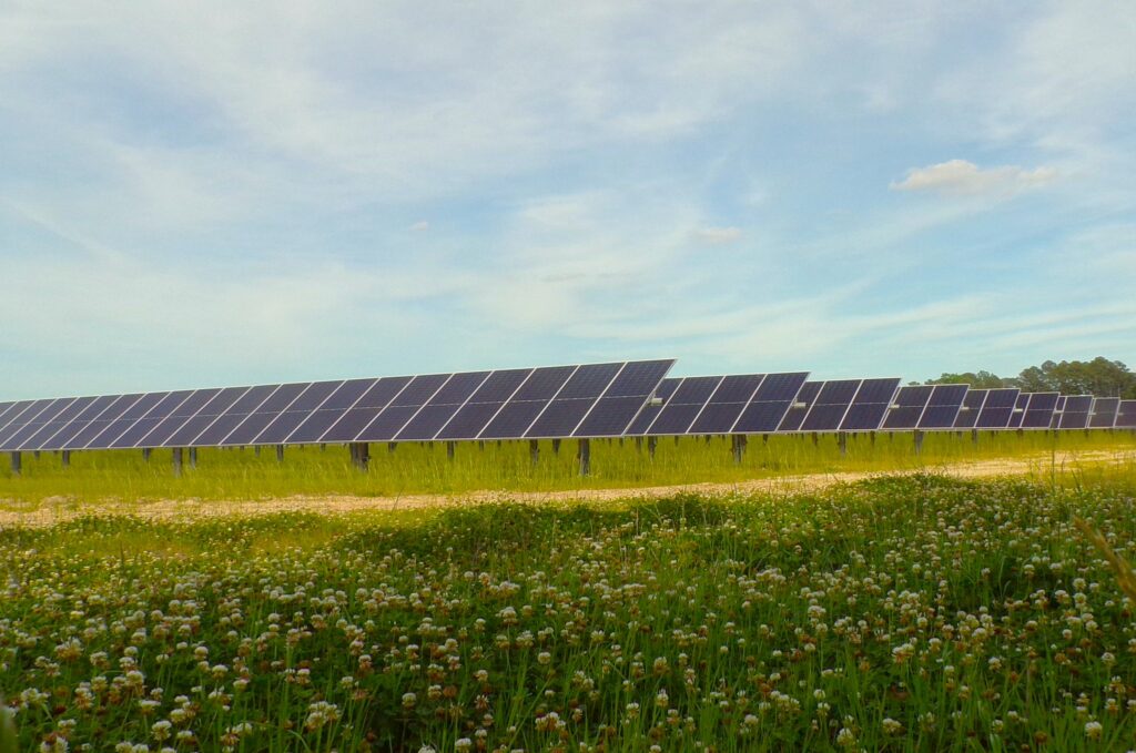 Animan a los compradores estadounidenses de renovables a actuar rápido en un mercado complejo Enelico Energía Solar Ibague, Colombia